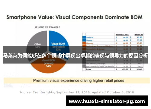马莱莱为何能够在多个领域中展现出卓越的表现与领导力的原因分析