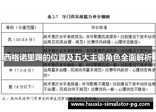 西格诺里踢的位置及五大主要角色全面解析