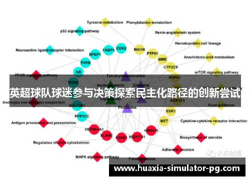 英超球队球迷参与决策探索民主化路径的创新尝试