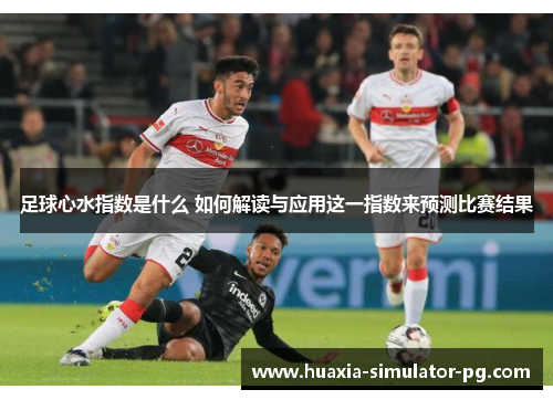足球心水指数是什么 如何解读与应用这一指数来预测比赛结果