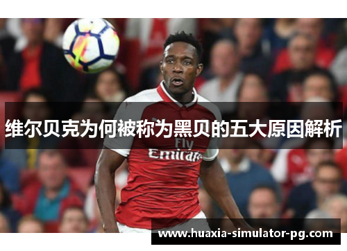 维尔贝克为何被称为黑贝的五大原因解析