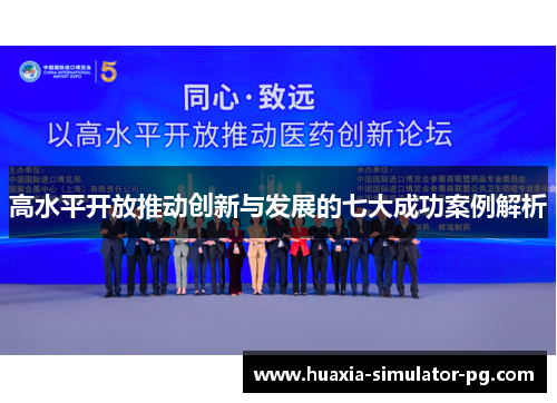 高水平开放推动创新与发展的七大成功案例解析