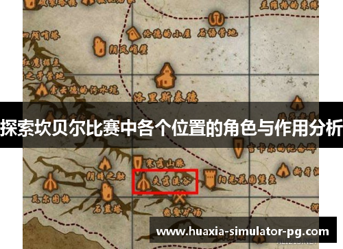 探索坎贝尔比赛中各个位置的角色与作用分析