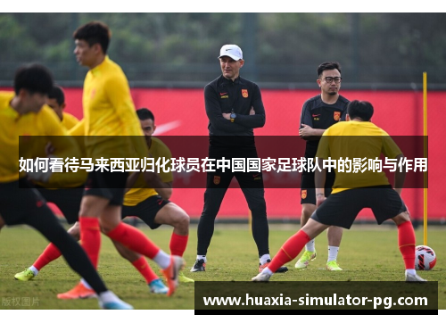 如何看待马来西亚归化球员在中国国家足球队中的影响与作用 如何看待马来西亚归化球员在中国国家足球队中的影响与作用