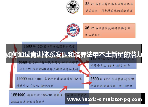 如何通过青训体系发掘和培养法甲本土新星的潜力 如何通过青训体系发掘和培养法甲本土新星的潜力